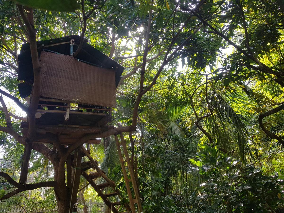 Green House Resort Sigiriya Bagian luar foto